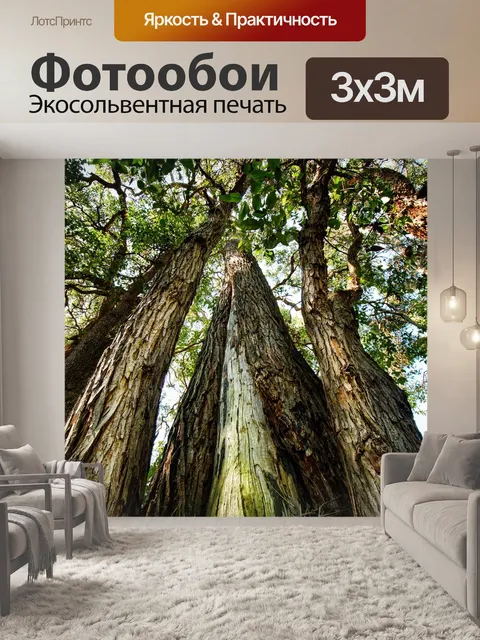 Фотообои Дерево