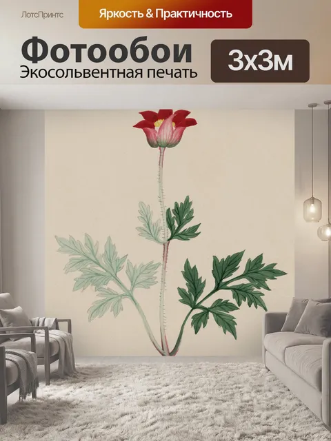 Фотообои Цветок