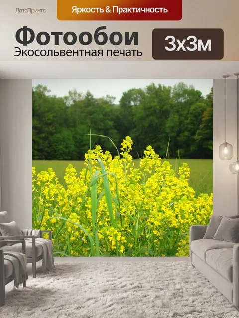 Фотообои Роса