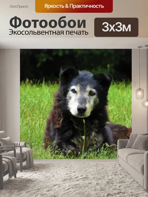 Фотообои Старый