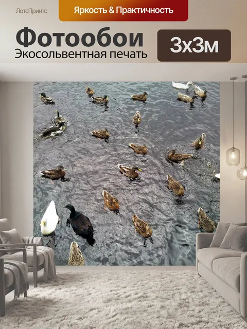 Фотообои уток в пруду