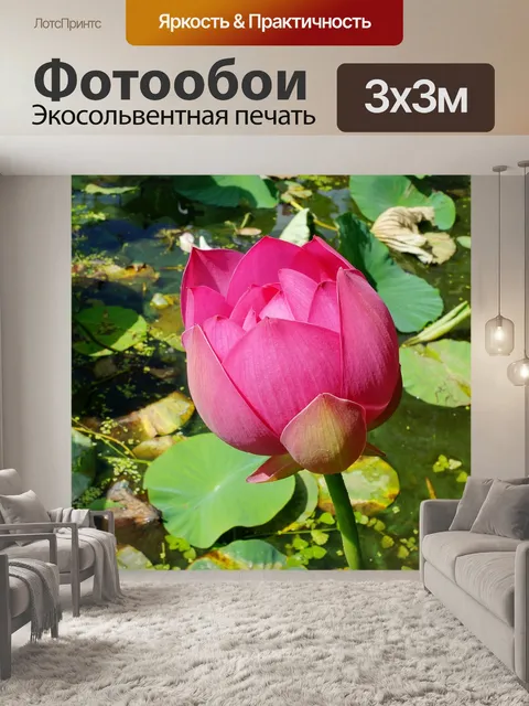 Фотообои Цветы