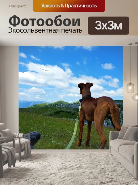 Фотообои Гора