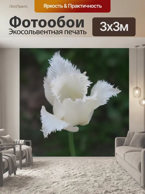 Фотообои Цветы