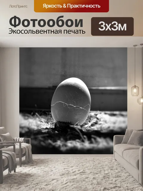 Фотообои Яйцо