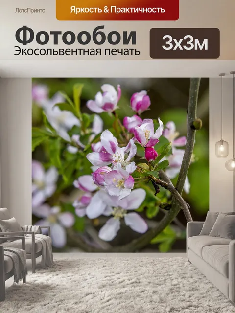 Фотообои Цветы