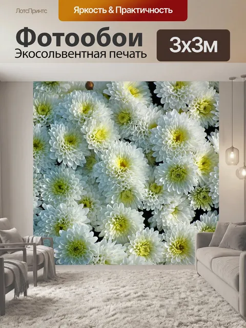 Фотообои Хризантемы