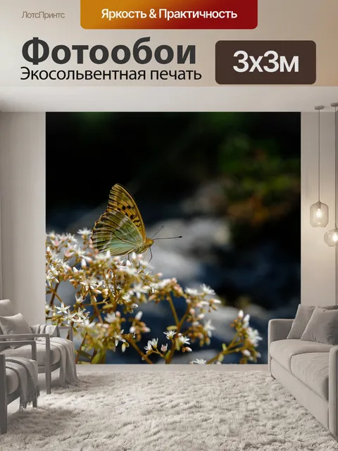 Фотообои Бабочка