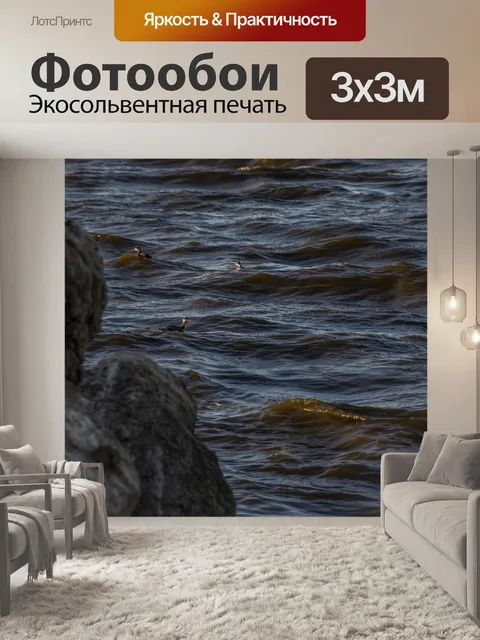 Фотообои Птицы, плавающие в море
