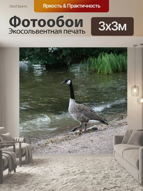 Фотообои Четыре