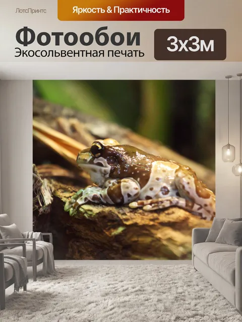 Фотообои тропическая жаба