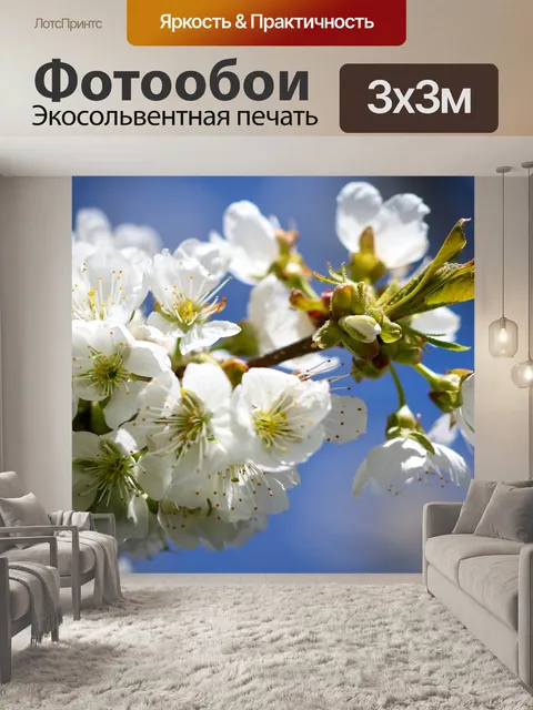 Фотообои Цветы