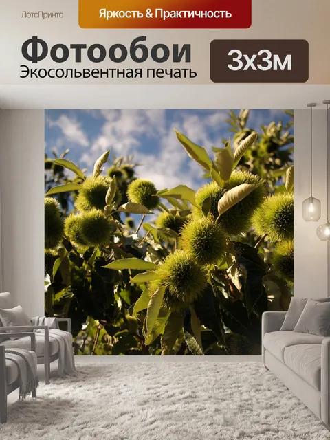 Фотообои Ночь