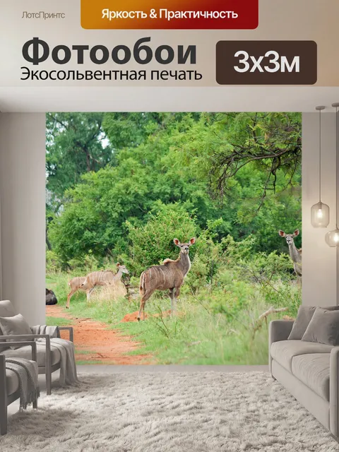 Фотообои взрослая корова куду в группе