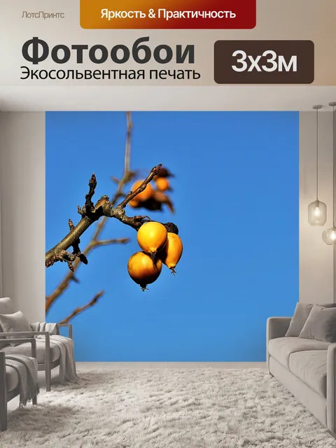 Фотообои Облепиха