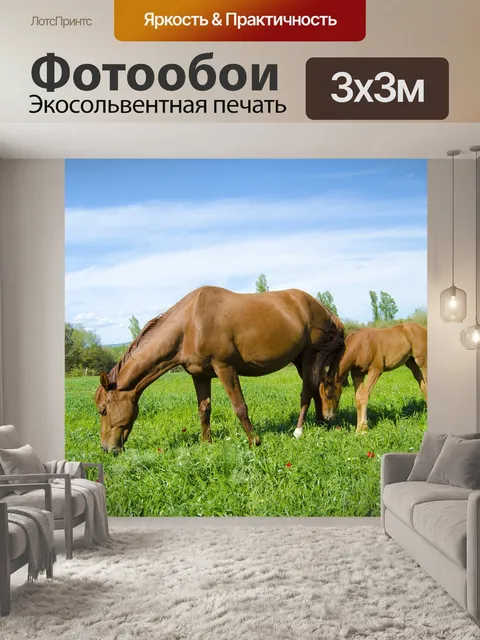 Фотообои Лошади