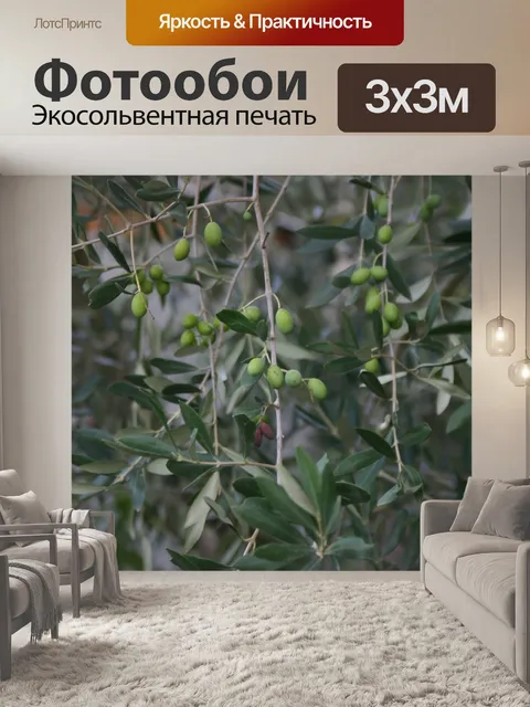 Фотообои Оливковое дерево