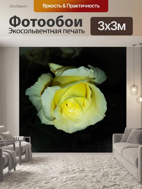 Фотообои Цветок