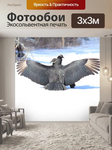 Фотообои Птицы