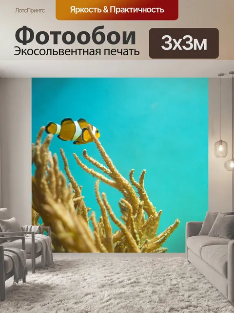 Фотообои Немо