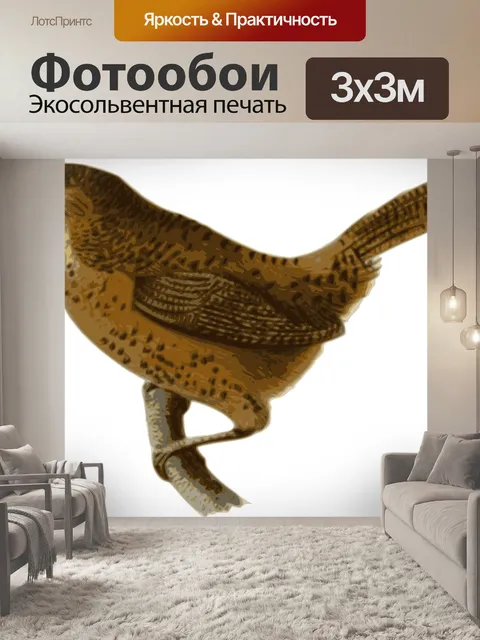 Фотообои Птица