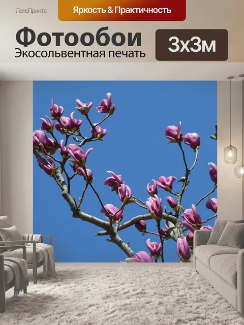 Фотообои Магнолия