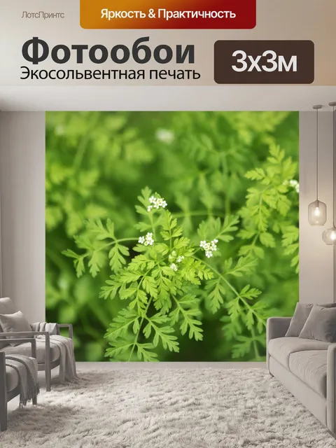 Фотообои Крошечный белый цветок и оборки