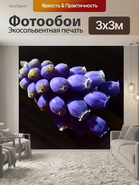 Фотообои Цветы