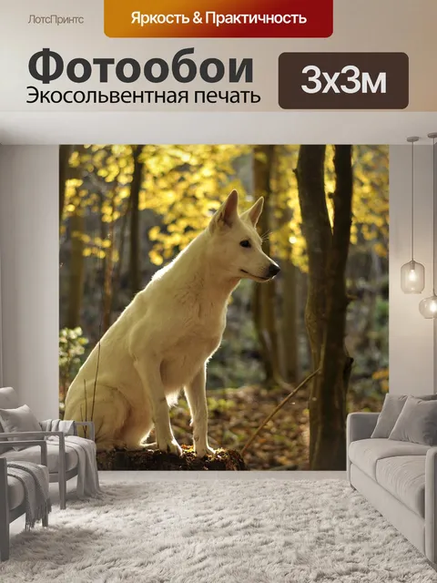 Фотообои Собака