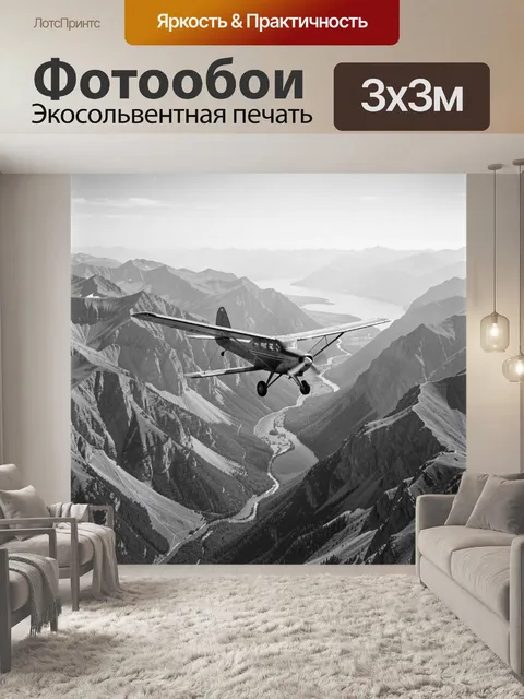 Фотообои Самолет над горным ущельем