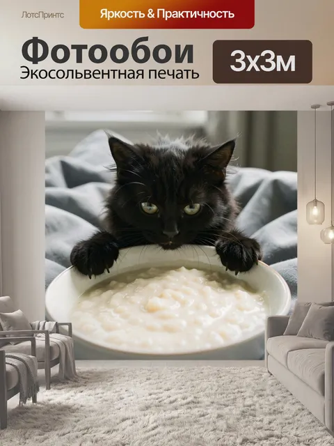 Фотообои Черный кот с миской каши