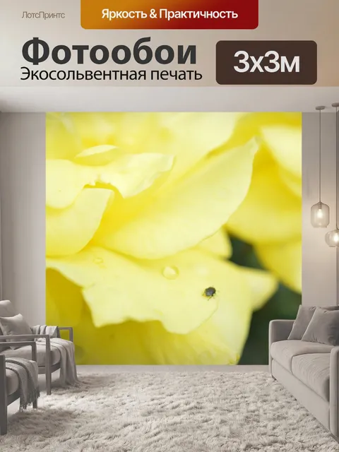 Фотообои Розы