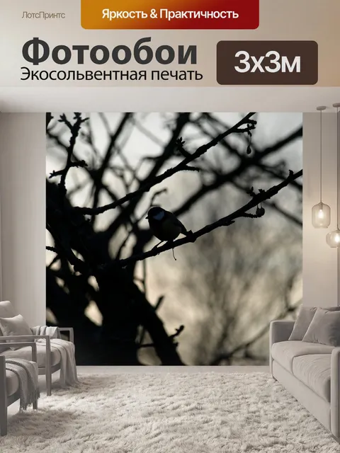 Фотообои Птица