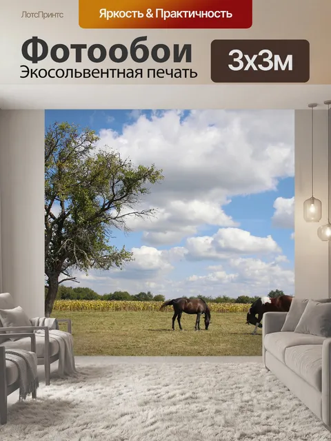 Фотообои Лошади