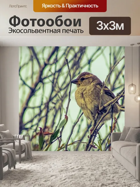 Фотообои Воробей