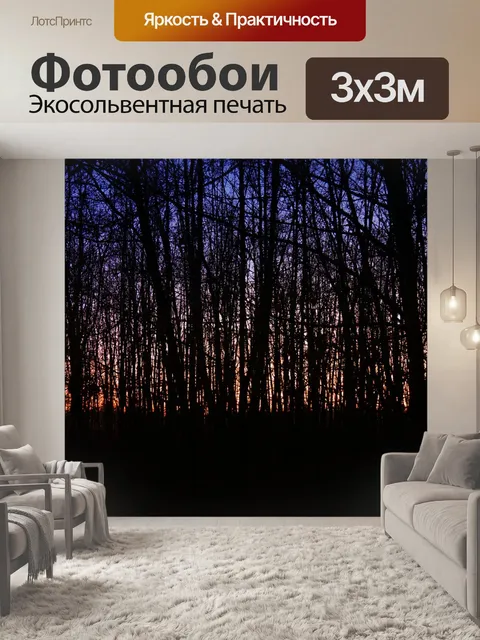 Фотообои Темный