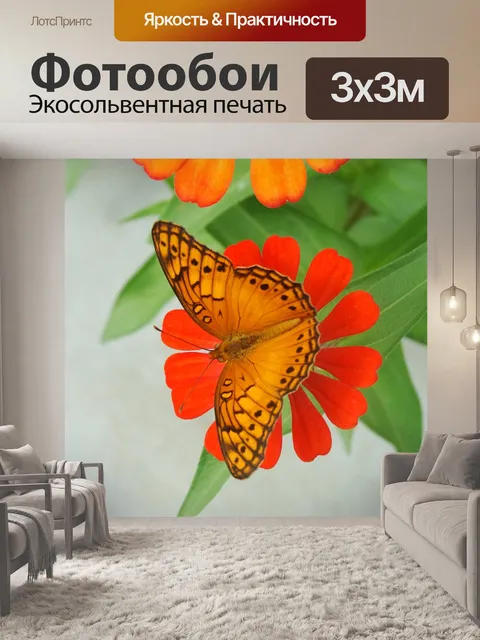 Фотообои Бабочка