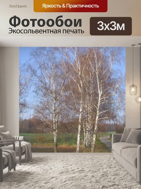 Фотообои Береза