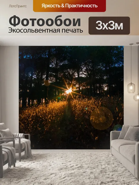 Фотообои Заход солнца