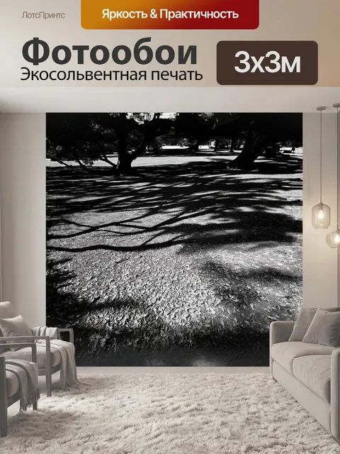 Фотообои прямо под ветвями великого дерева раскинулась земля, которая скрывает текстуры коры и сухих листьев