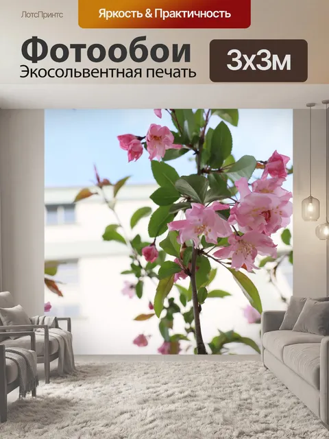 Фотообои Цветы