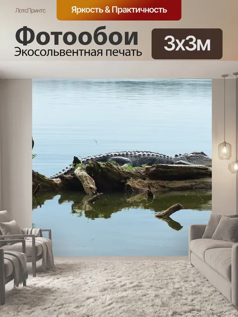 Фотообои Байу
