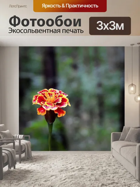 Фотообои Цветок