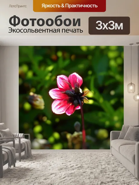 Фотообои Цветок