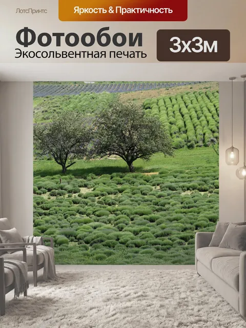 Фотообои Цветы