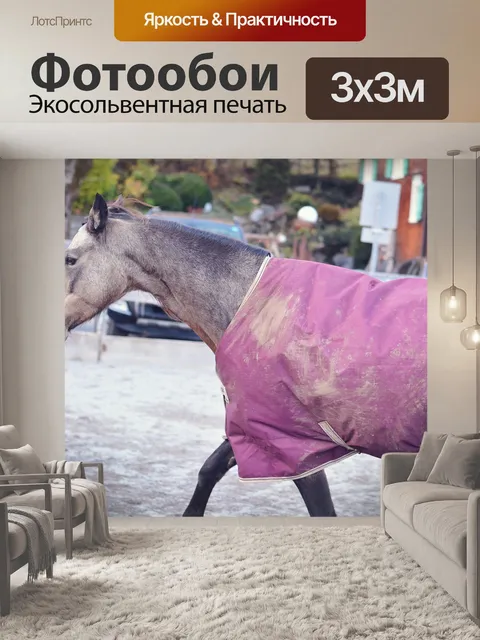 Фотообои Лошадь