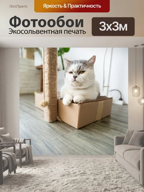 Фотообои Кошка