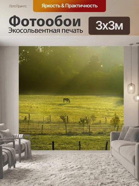 Фотообои Лошадь