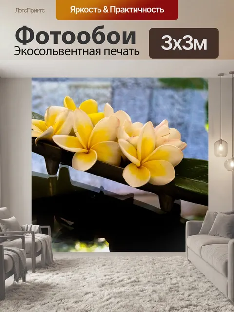 Фотообои Плюмерия