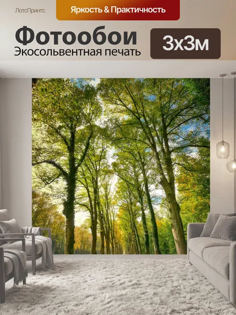 Фотообои Парк